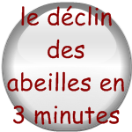 le dclin des abeilles en 3 minutes