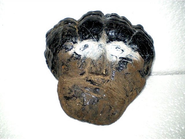 Tree'fungus mask